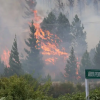 Imagen de En 10 fotos, así es el descontrolado incendio en Epuyén: evacuados, casas destruidas y la Ruta 40 cortada