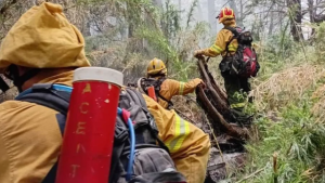 La estrategia para combatir el incendio en el Parque Lanín de Neuquén este domingo: más de 22 mil hectáreas afectadas