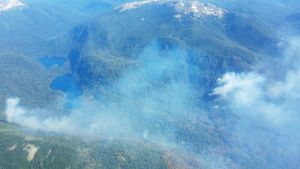 Incendio al sur de Bariloche: «Estos incendios tan agudos y rápidos son un llamado de atención»