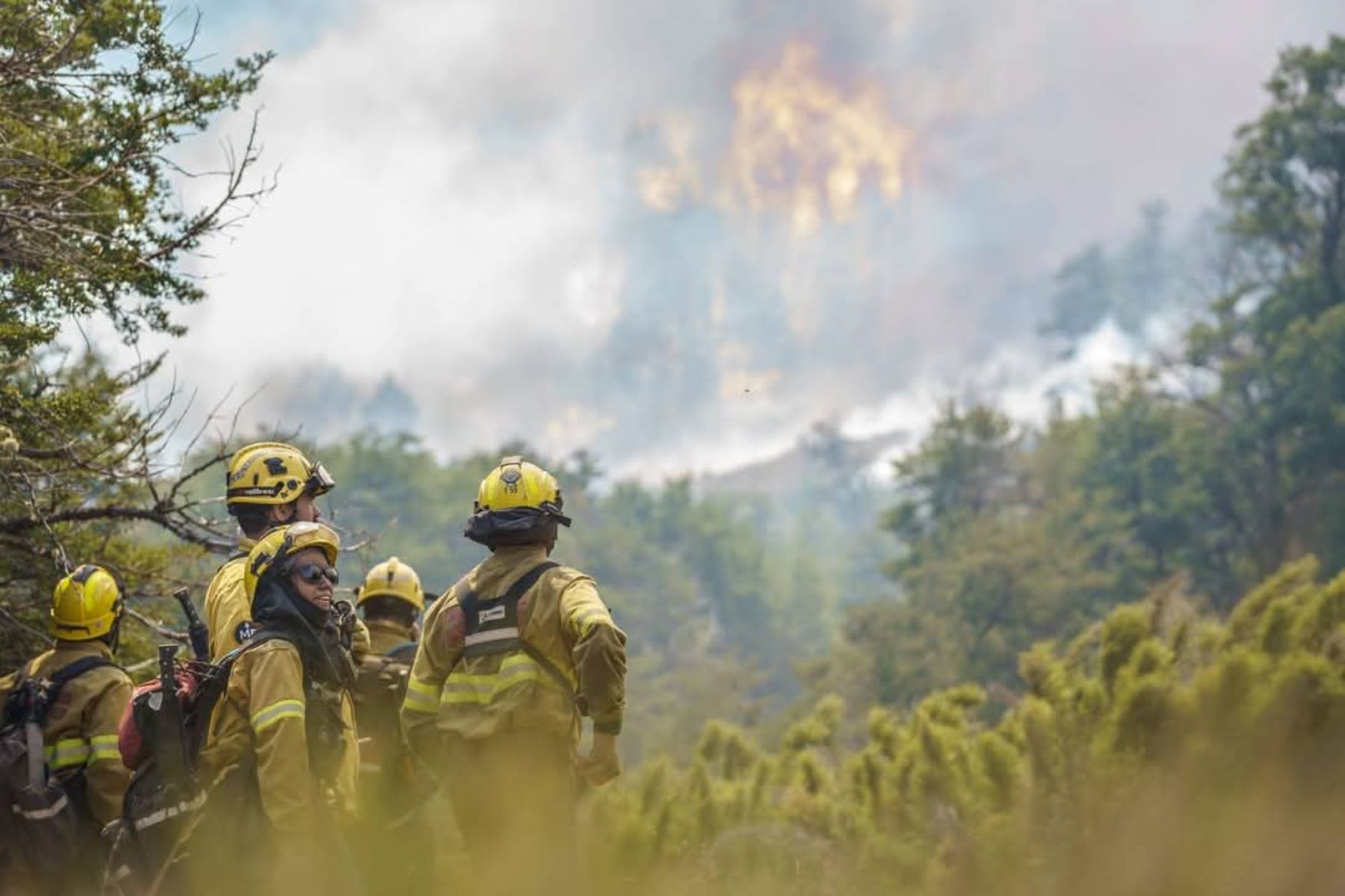 El Gobierno rompió el silencio y habló sobre los incendios en la Patagonia. Foto: Gentileza Parque Nacional Lanín.