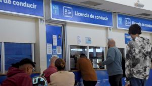 Paso a paso para la renovación virtual de la licencia de conducir en Neuquén