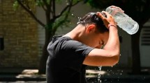 Imagen de Domingo con 42° en Neuquén: seguí estas recomendaciones para evitar golpes de calor