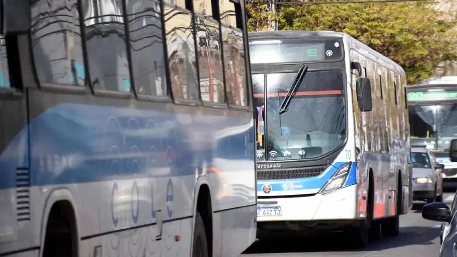 Caos en un colectivo de Neuquén.