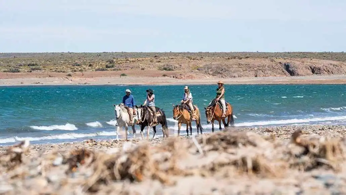 Parque Patagonia Azul, en Chubut. Foto: archivo.