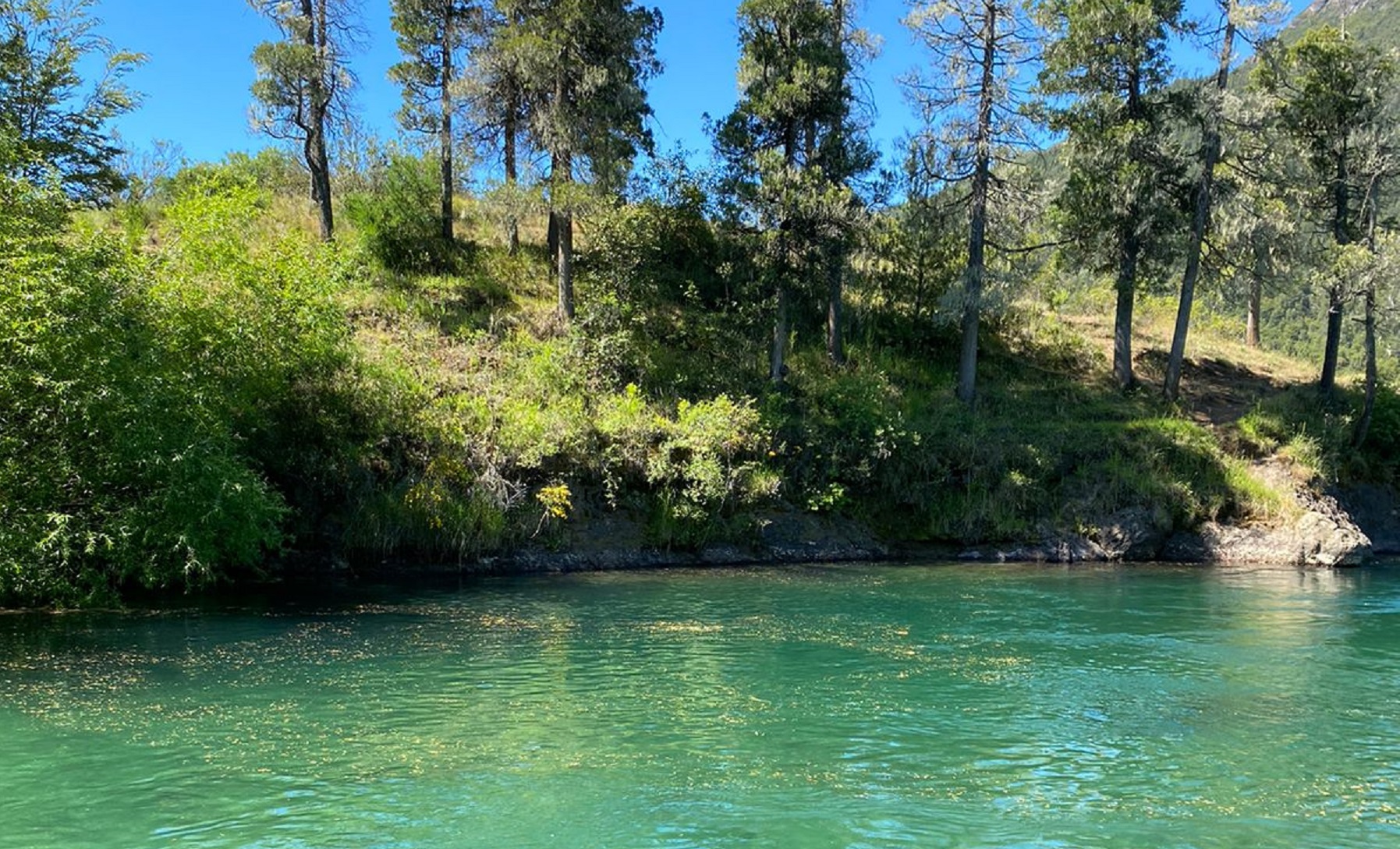 El río Manso tiene el agua color turquesa y pozones que lo hacen un lugar paradisíaco. 