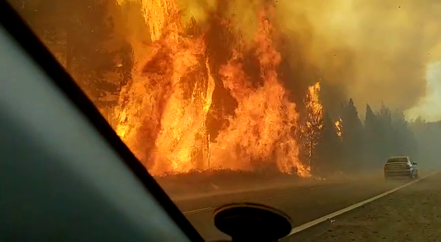 Incendios. Un factor crítico identificado son las banquinas de rutas, que acumulan grandes cantidades de vegetación seca.