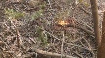 Imagen de Video | Incendio en El Bolsón: “Había fogatas en forma de estrellas, se nos caían las lágrimas”