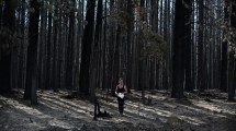 Imagen de Imágenes de la tragedia que dejaron los incendios en El Bolsón