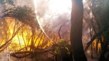 Imagen de Incendios en la Patagonia, en vivo: evacuados y más fuego, viernes complicado en El Bolsón y parque Lanín