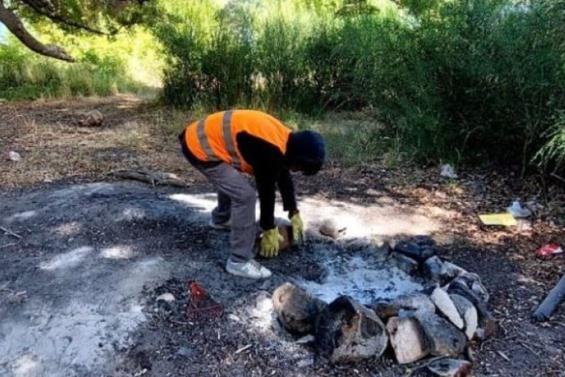 Un turista encendió  fuego en la costa del lago Correntoso. Foto: gentileza DA.