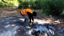 Imagen de Turista de Chile prendió fuego en el lago Correntoso, en Villa la Angostura: cómo lo descubrieron