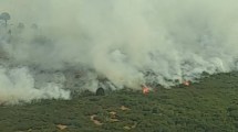 Imagen de Incendio en parque Lanín con evacuaciones: trasladan comunidades mapuches a «refugios temporales»