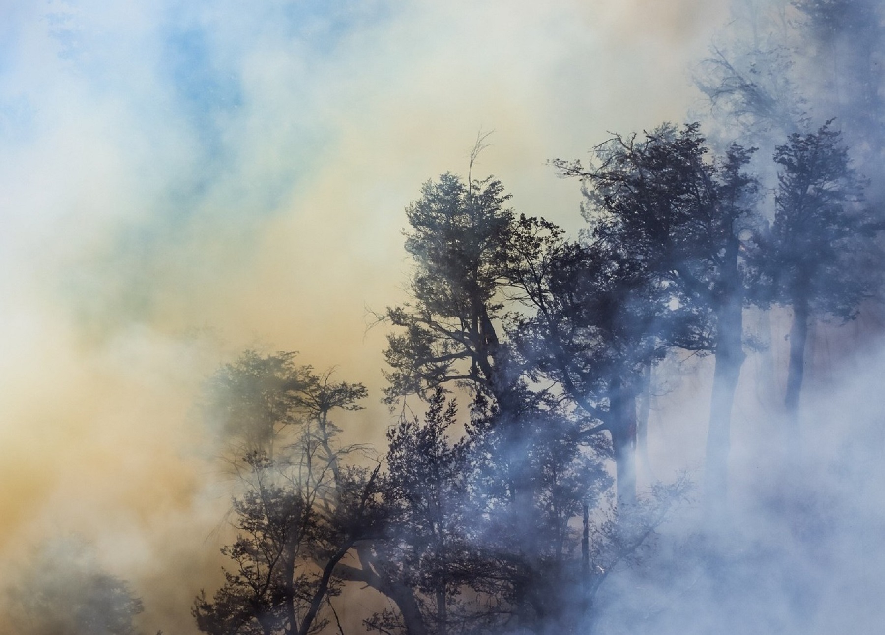 Incendio en Neuquén. Foto: parque Lanín. 