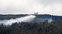 Imagen de Weretilneck sobre los incendios: “Fueron intencionales, pero no podemos acusar a alguien”