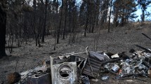 Imagen de El Gobierno nacional incluirá en Sesiones Extraordinarias un proyecto para agravar la pena a quienes provoquen incendios