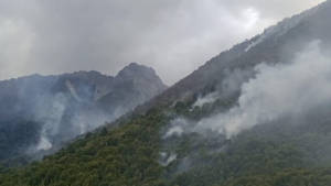 Vecinos de El Manso cortaron la Ruta 83: piden ayuda por los incendios al sur de Bariloche