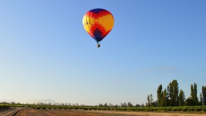 La Fiesta del Tomate arranca mañana y ofrecerá paseos en globo gratis: mirá la grilla de actividades