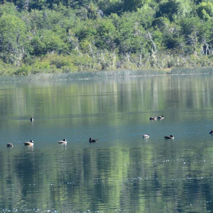 Parque Nahuel Huapi