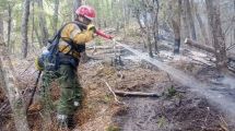 Imagen de La noticia más esperada en El Bolsón: el incendio está controlado