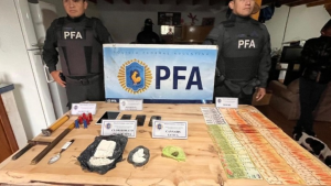 Secuestraron cocaína y armas tras un allanamiento en San Martín de los Andes