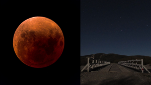 Luna de sangre en Bariloche: horarios y mejores lugares para disfrutar del eclipse