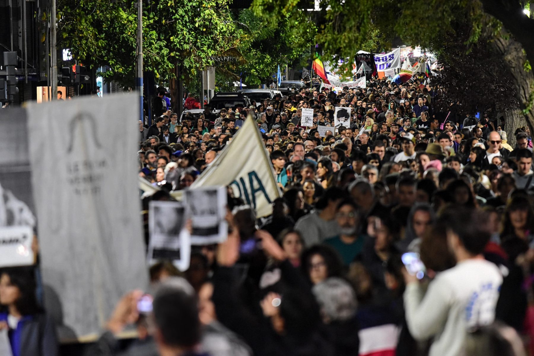 En Neuquén la marcha fue de 15 cuadras. Foto: Cecilia Maletti. 