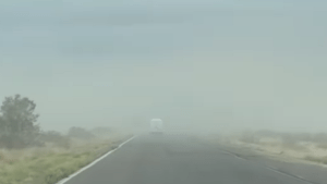 Video | Cenizas en la Ruta 3, entre Trelew y Puerto Madryn: piden precaución por la poca visibilidad