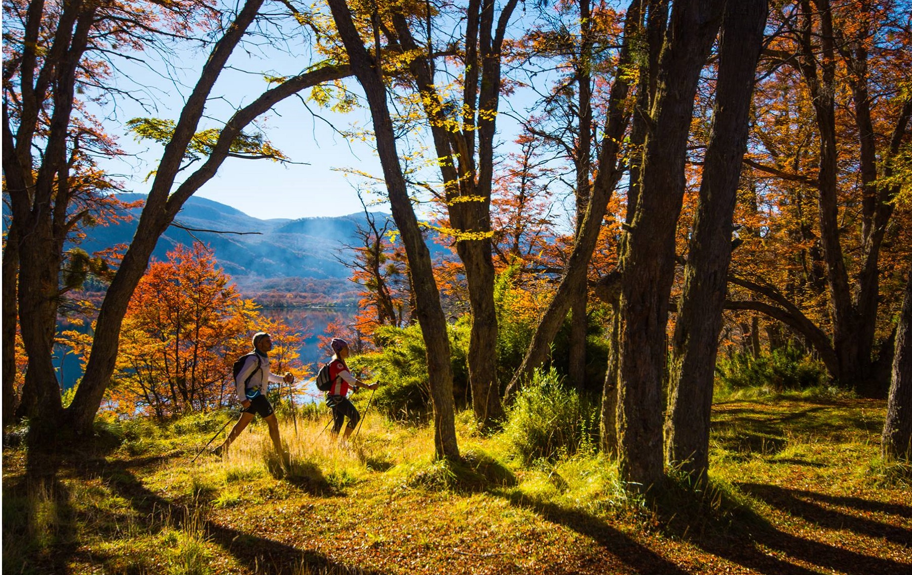 Turismo de otoño en San Martín de los Andes; ofrecen estos descuentos especiales y los mejores paseos para hacer