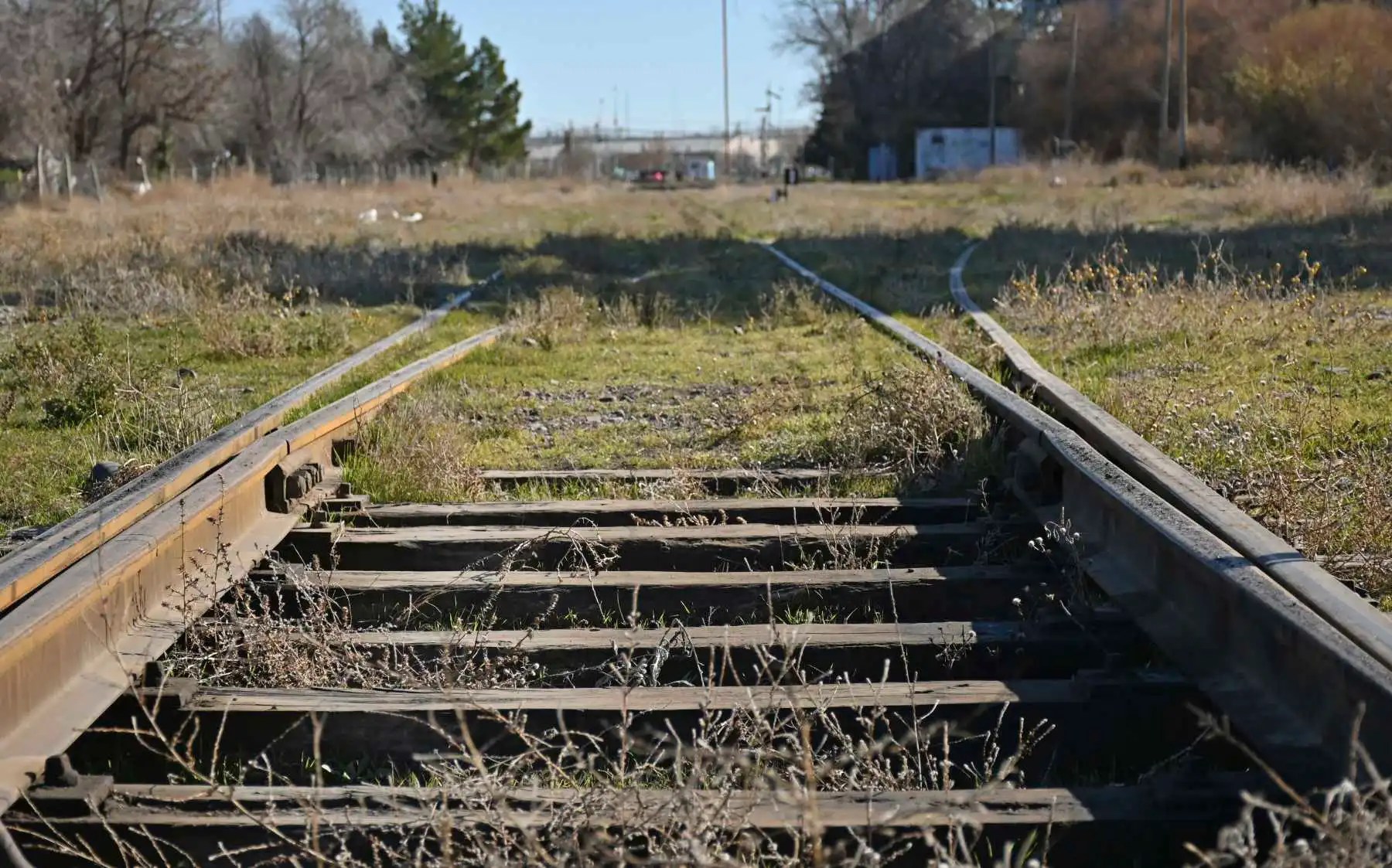 Reflota el tren a Vaca Muerta: una traza más larga busca inversores