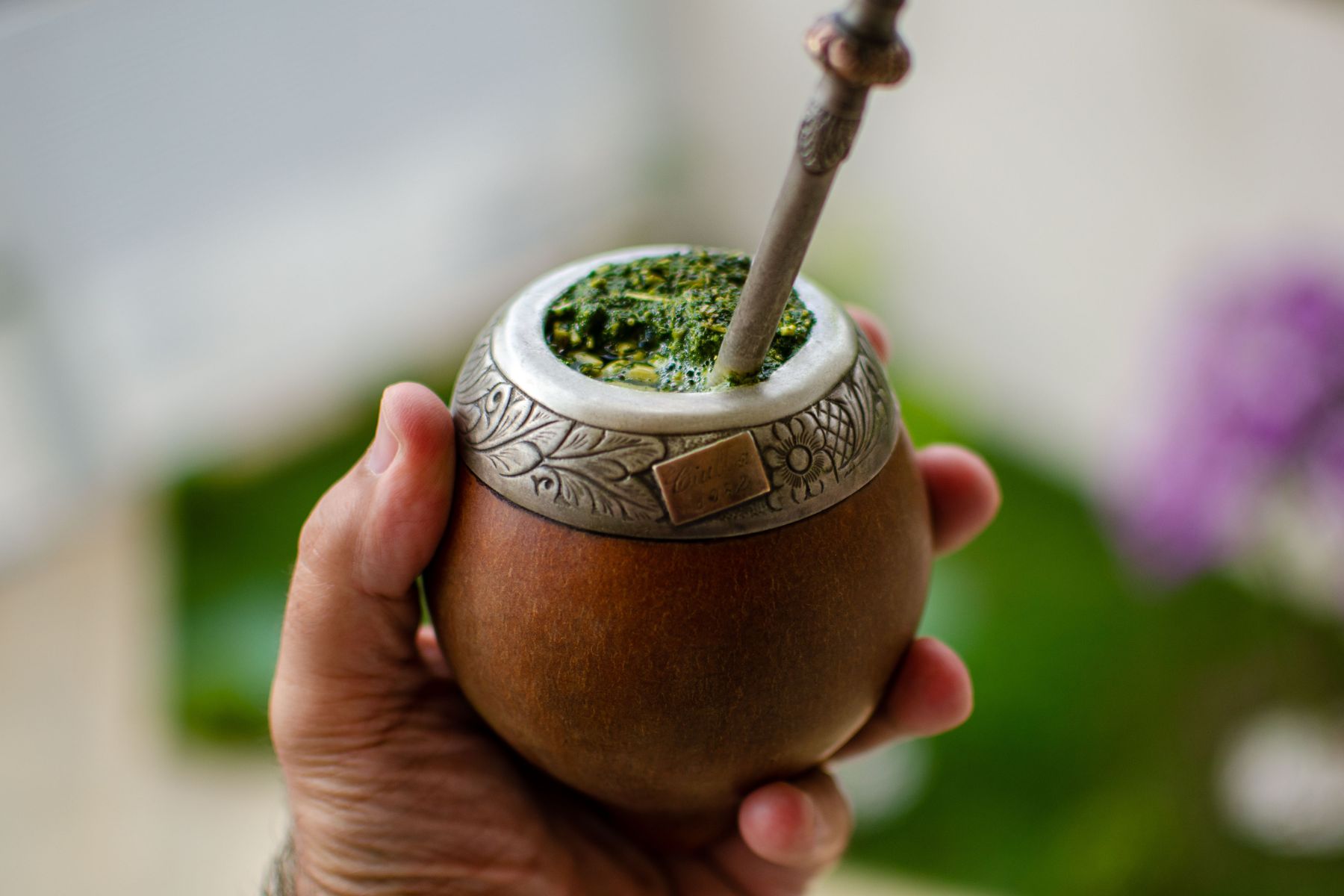 El yuyo que podés agregarle al mate para potenciar tu energía diaria y evitar el cansancio