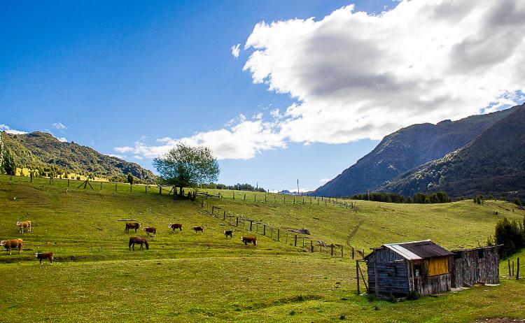 Valle Del Rio Manso Al Oeste El Paraiso